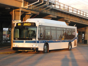 bus